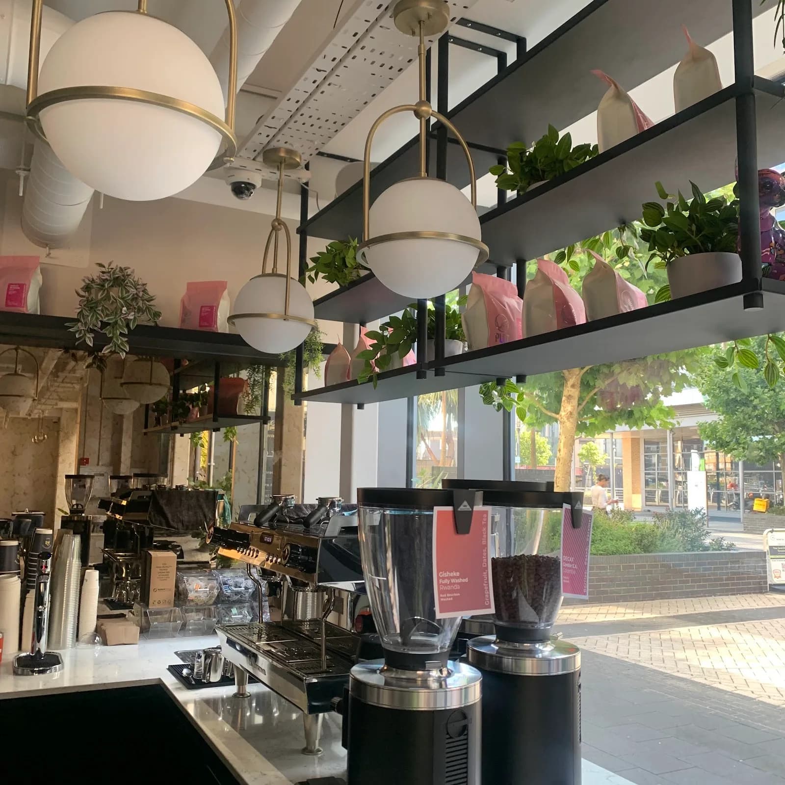 The Greenwich Nest